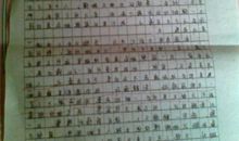 快乐的春天作文