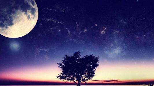 经典语录:距离就是风景,距离就是生活