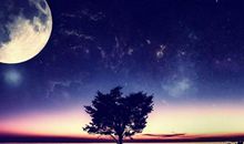 经典语录：远处是风景，近处的才是人生