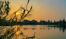 家乡的小河100字