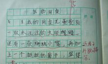 我的家乡作文150字