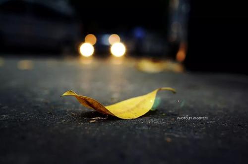 关于阅读《做好每一步的实践》的思考