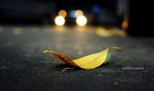 《踏实的走好每一步》读后感