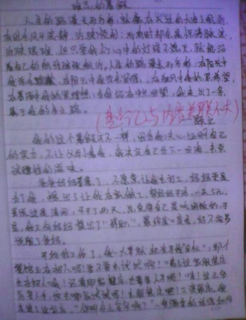 关于寒假的500个字