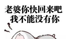 给老婆认错的话