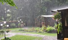 绿化好处多作文