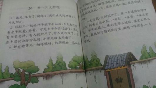 150字写植物成分