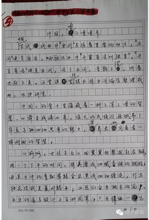 2013年高考满分作文江苏试卷:无干扰的沉默