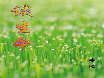 冰心阅读后谈人生