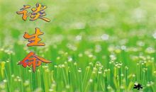 冰心谈生命读后感