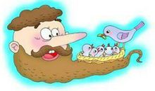 大胡子鸟窝读后感