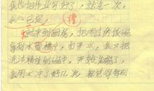 三年级作文我学会了洗碗