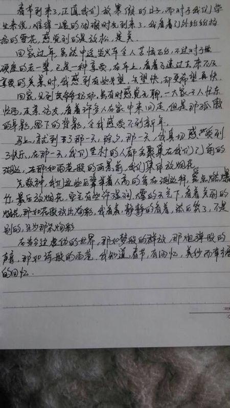 春节作文600字