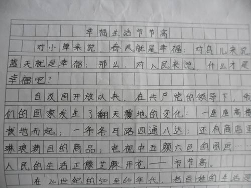 800农历新年作文