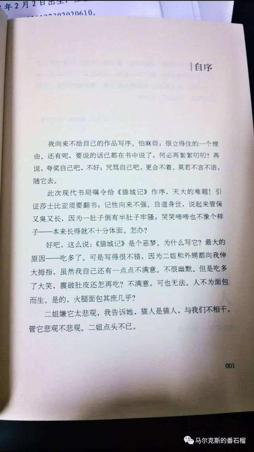 关于猫城的思考