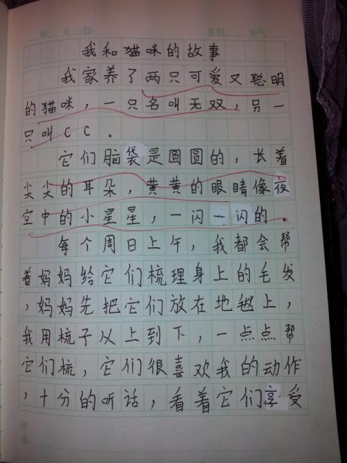 清墓作文600字