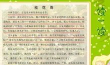 写桂花的作文400字