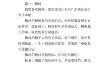 柳树的形态小学作文