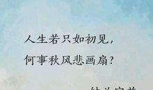 安意如人生若只如初见读后感