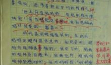 我的兴趣爱好作文