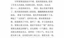 在尝试中成长作文500字