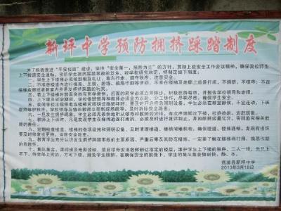 小学生校园安全随笔