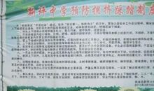 小学生校园安全征文