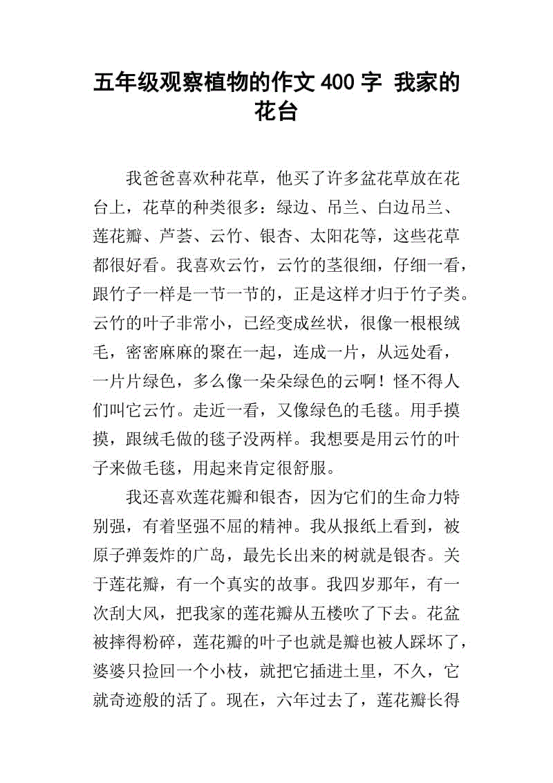 我的家作文400字