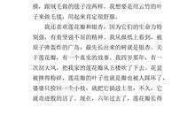 我的家作文400字