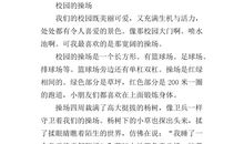 关于操场的作文