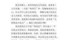 放烟花作文800字