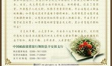 对革命烈士说的话