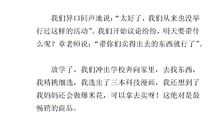 义卖活动作文800字