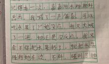 我的第一次作文