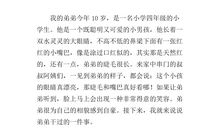 我的弟弟作文800字