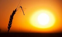 大学生励志：如何选择第一份工作？