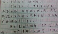 遨游汉字王国作文400字