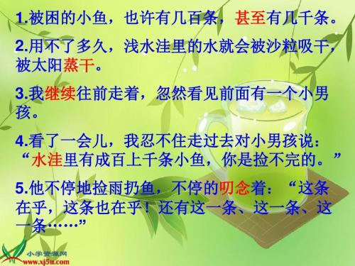 浅水池中的小鱼