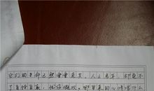 2013年高考满分作文江苏卷：写作的智慧