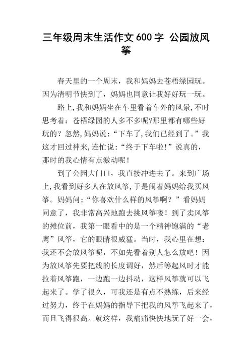 描述风筝飞行的成分