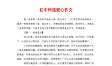 新年走亲戚作文