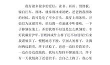 我学会了溜冰300字