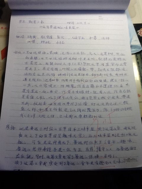 四年级小学生的感受