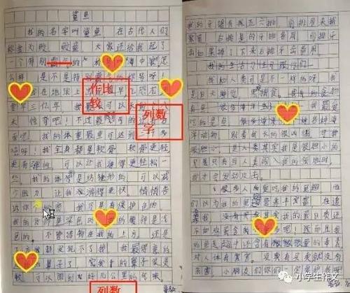 小学三年级寒假作文