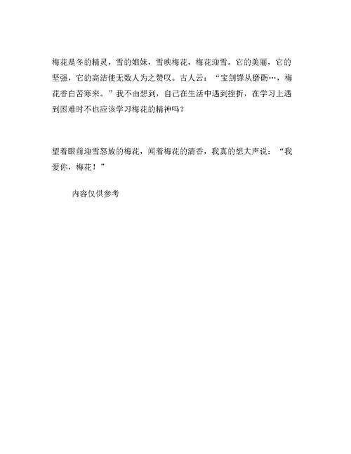 冬季梅花组成400个单词