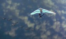 伴你高飞观后感