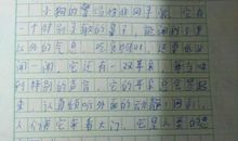 可爱的小狗作文600字