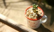 最最重要的，是这一切都有人陪伴