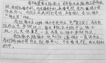 关于写作业的作文