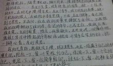 未来的我作文350字